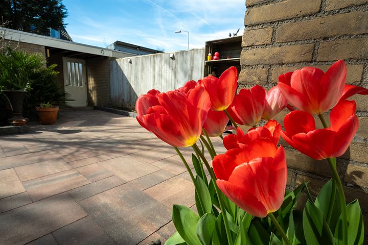 Bekijk foto 14 van Van Wassenaer Obdamlaan 19