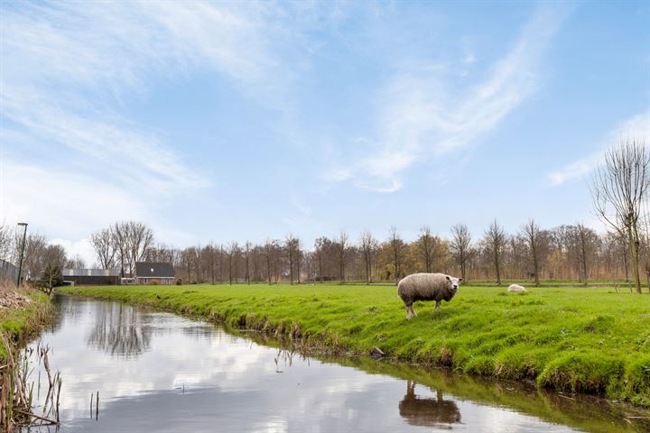 Bekijk foto 28 van Laan van Snelrewaard 21-A