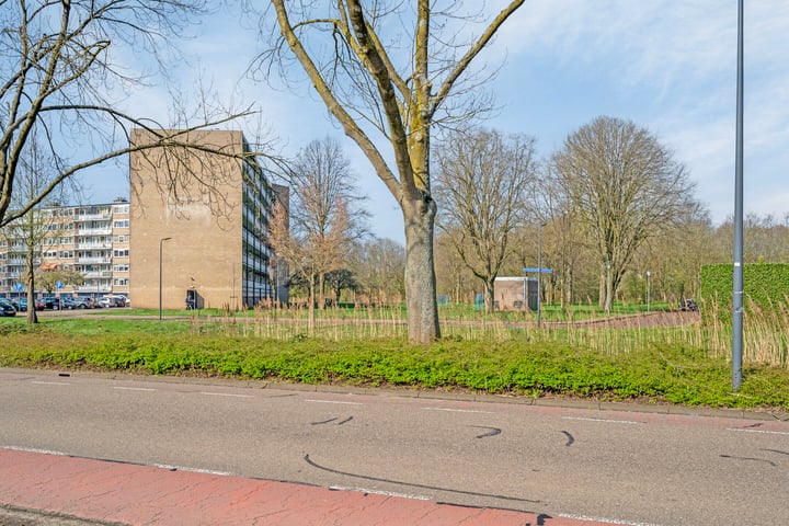 Bekijk foto 36 van Kruiskampsingel 56