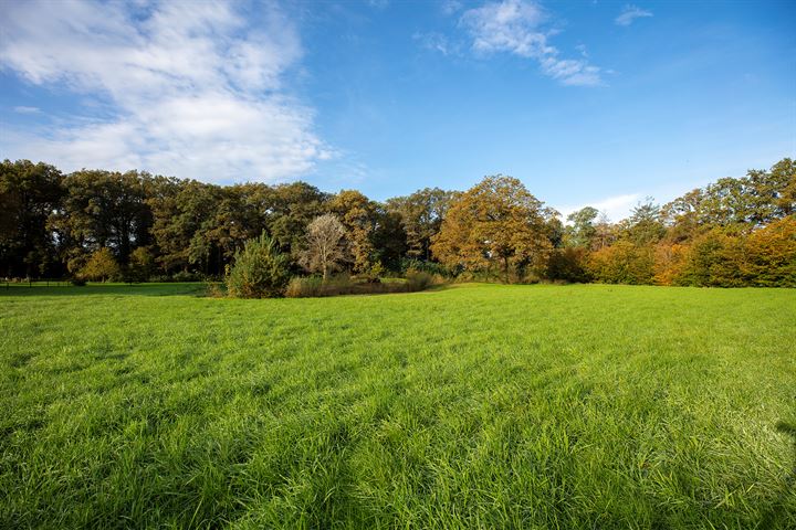 View photo 59 of Rijksstraatweg 28