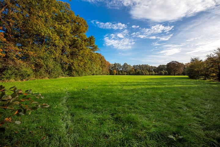 View photo 63 of Rijksstraatweg 28