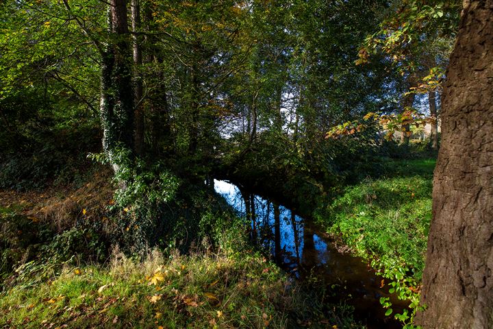 View photo 64 of Rijksstraatweg 28