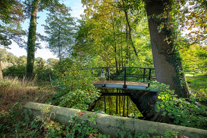 View photo 65 of Rijksstraatweg 28