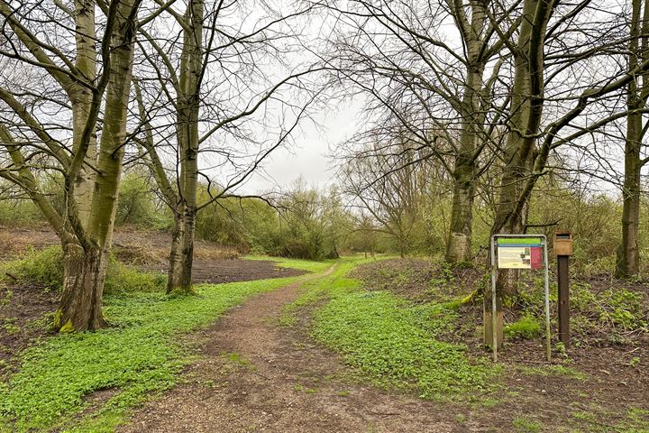 Bekijk foto 46 van Lelyweg 97