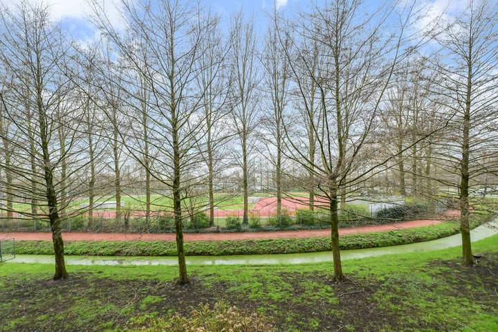 Bekijk foto 4 van Jacob Cornelisz van Oostsanenhof 28