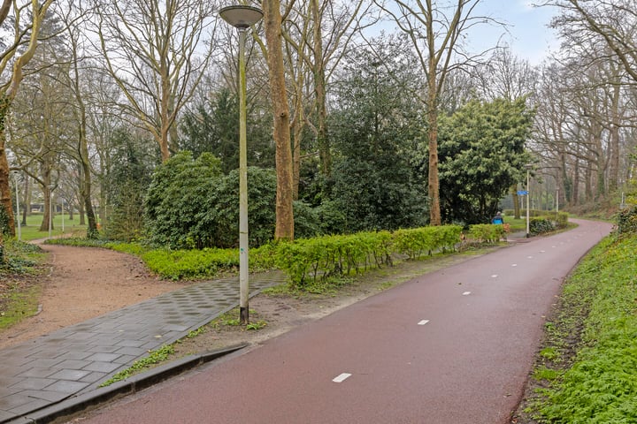 Bekijk foto 38 van Bloemendaal 26