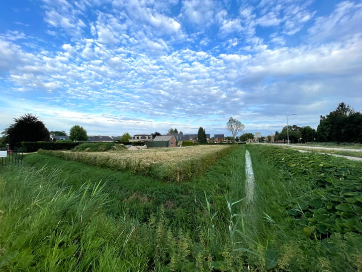 Foto 4 van Het Griend 2