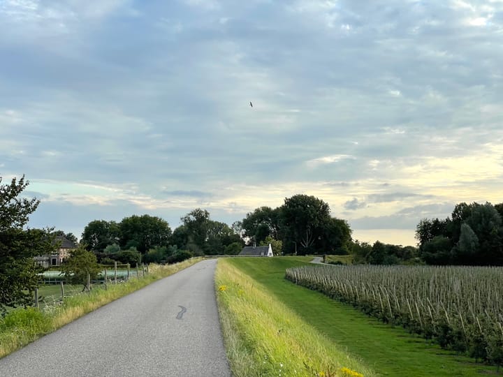 Foto 5 van Het Griend 2