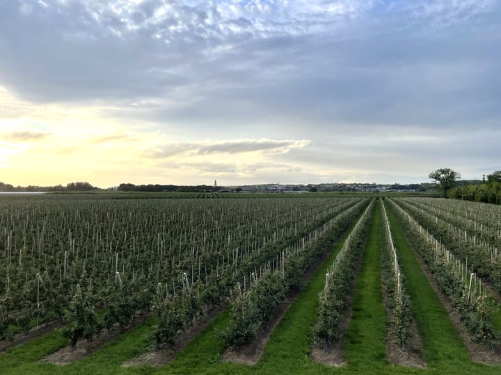 Foto 10 van Het Griend 2