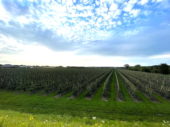 Foto 11 van Het Griend 2