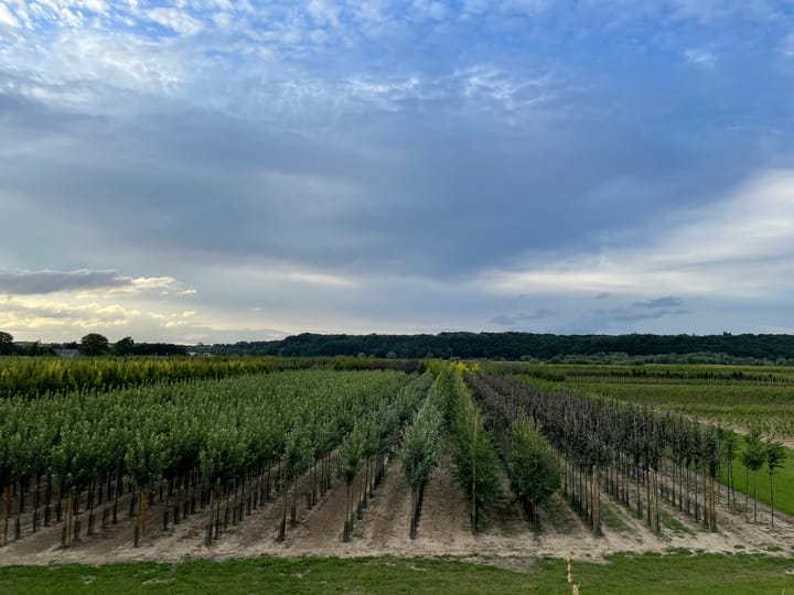 Foto 9 van Het Griend 2