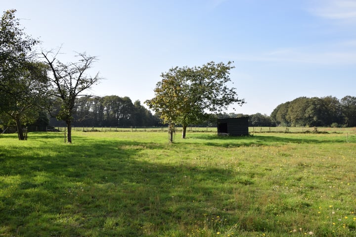 Foto 1 van Steegschenhofscheweg