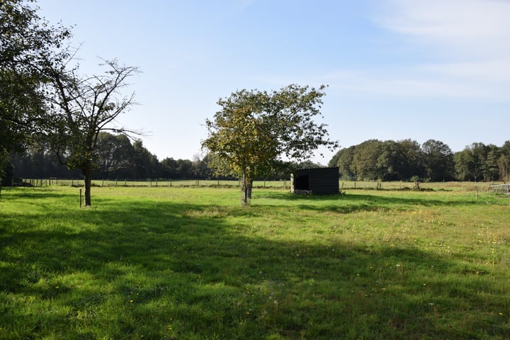 Foto 2 van Steegschenhofscheweg