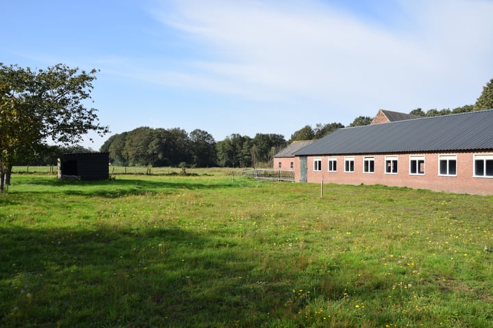 Foto 5 van Steegschenhofscheweg