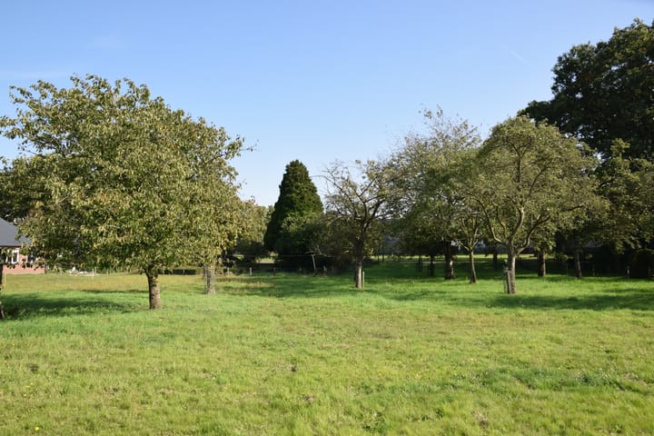 Foto 7 van Steegschenhofscheweg
