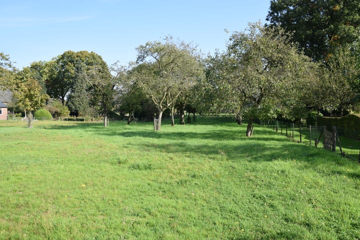 Foto 9 van Steegschenhofscheweg