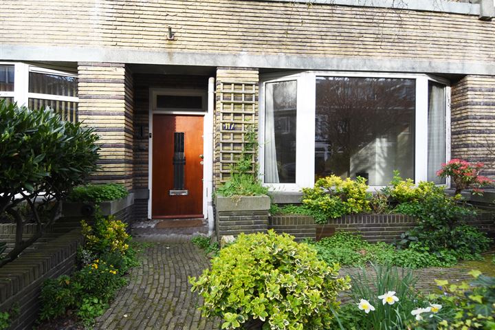 Bekijk foto 3 van Ananasstraat 117