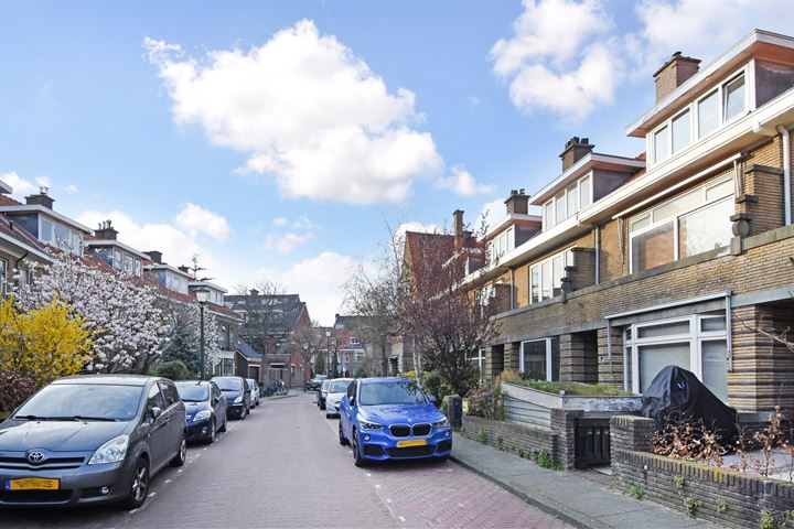 View photo 48 of Ananasstraat 117