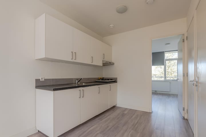 Foto 3 van Groene Hilledijk 207-A01