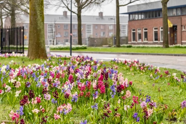 Bekijk foto 47 van Nachtegaalstraat 1