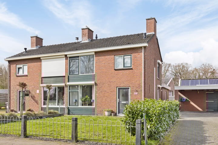 undefined main image
