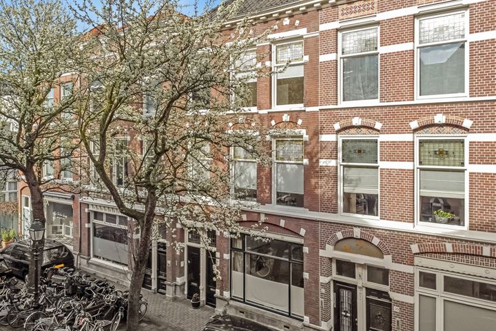 View photo 8 of Obrechtstraat 65