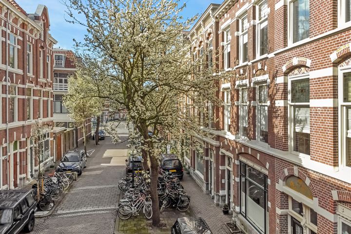 View photo 45 of Obrechtstraat 65