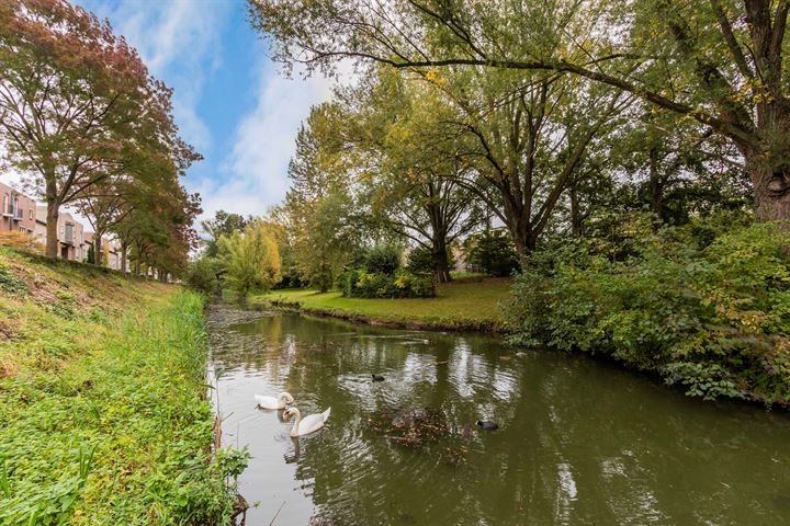 Bekijk foto 44 van Leuvenlaan 67