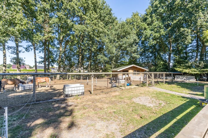 Photo 35 of Molenaarslaan 1