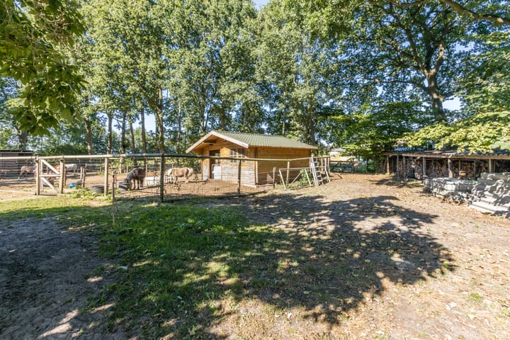 Photo 36 of Molenaarslaan 1