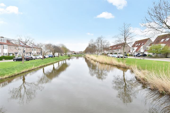 View photo 32 of Ridderspoor 10