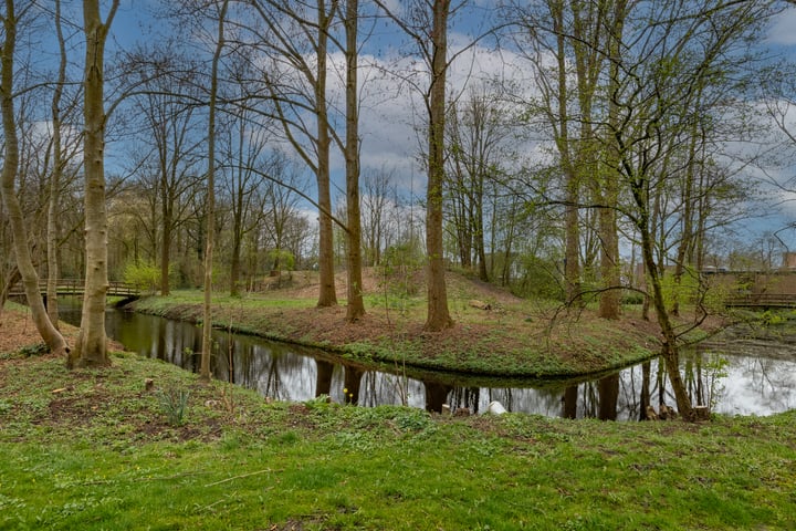 Bekijk foto 29 van Buizerd 105