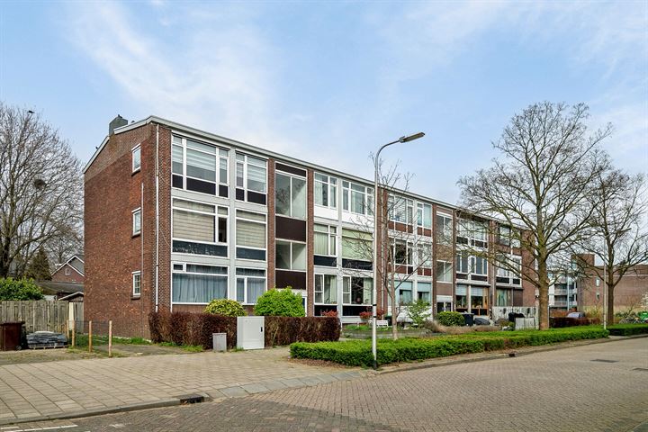 Bekijk foto 1 van Pretoriusstraat 21