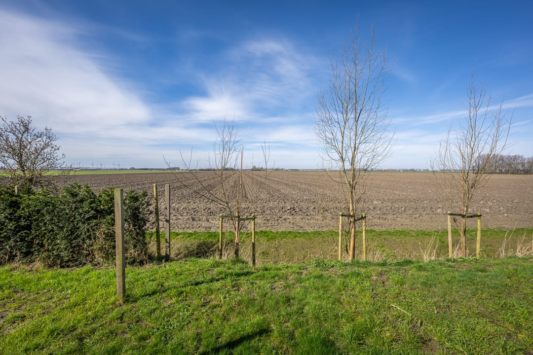 Foto 43 van Kranendijk 10