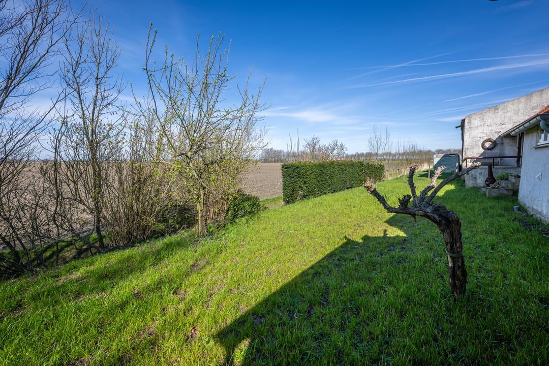 Foto 41 van Kranendijk 10