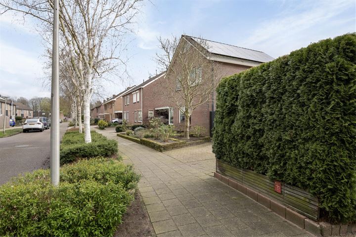 Bekijk foto 1 van Aletta Jacobsstraat 17