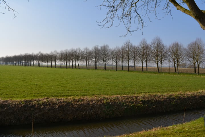 Bekijk foto 12 van Schouwerzijlsterweg 12