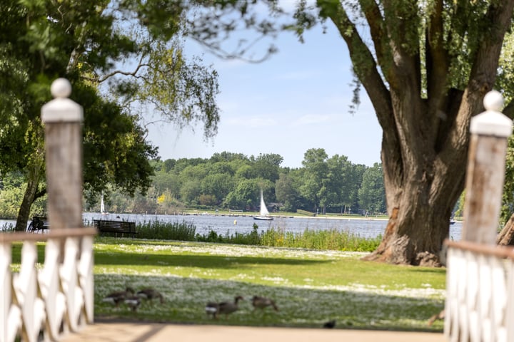 Bekijk foto 31 van Op de kop van de Avenue II- Nieuw Kralingen