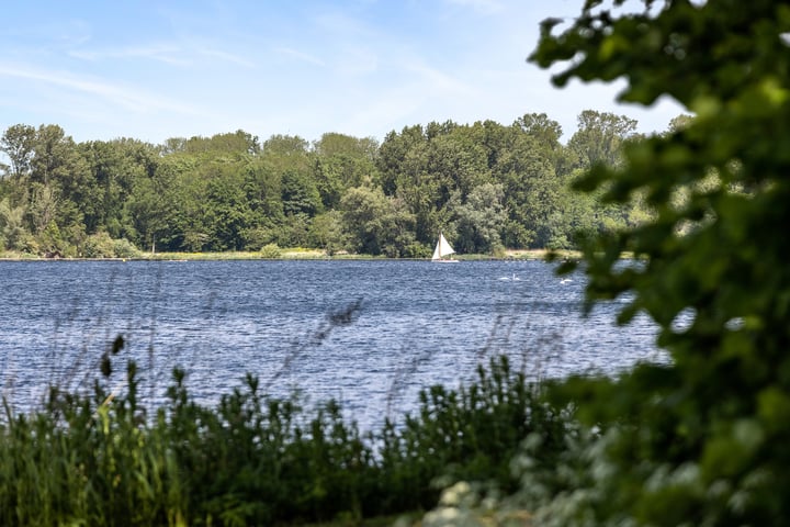 Bekijk foto 32 van Op de kop van de Avenue II- Nieuw Kralingen