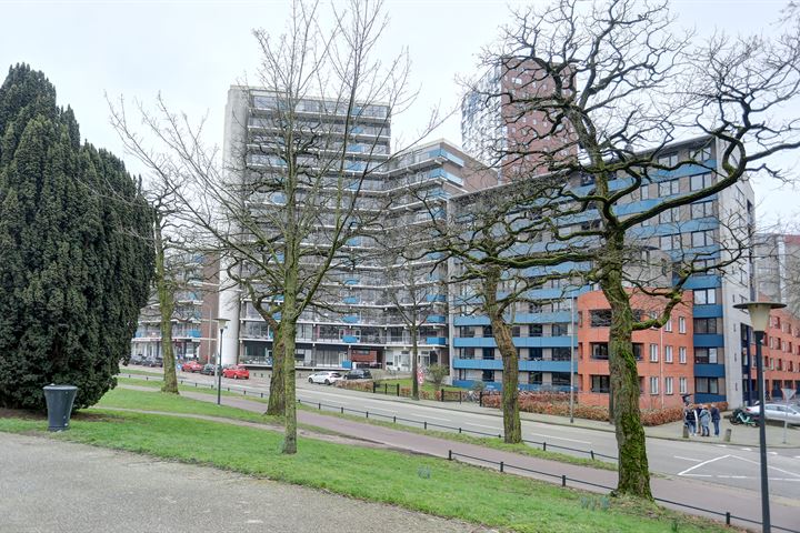 Bekijk foto 6 van Kronenburgersingel 121