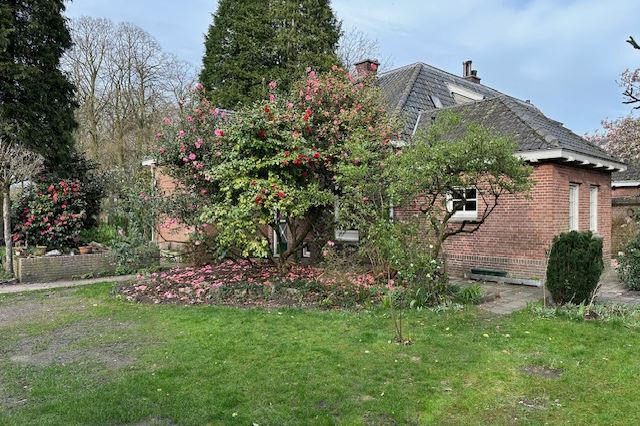 View photo 49 of Ruysdaelstraat 3