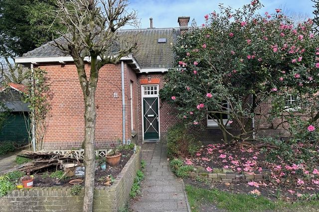 View photo 50 of Ruysdaelstraat 3