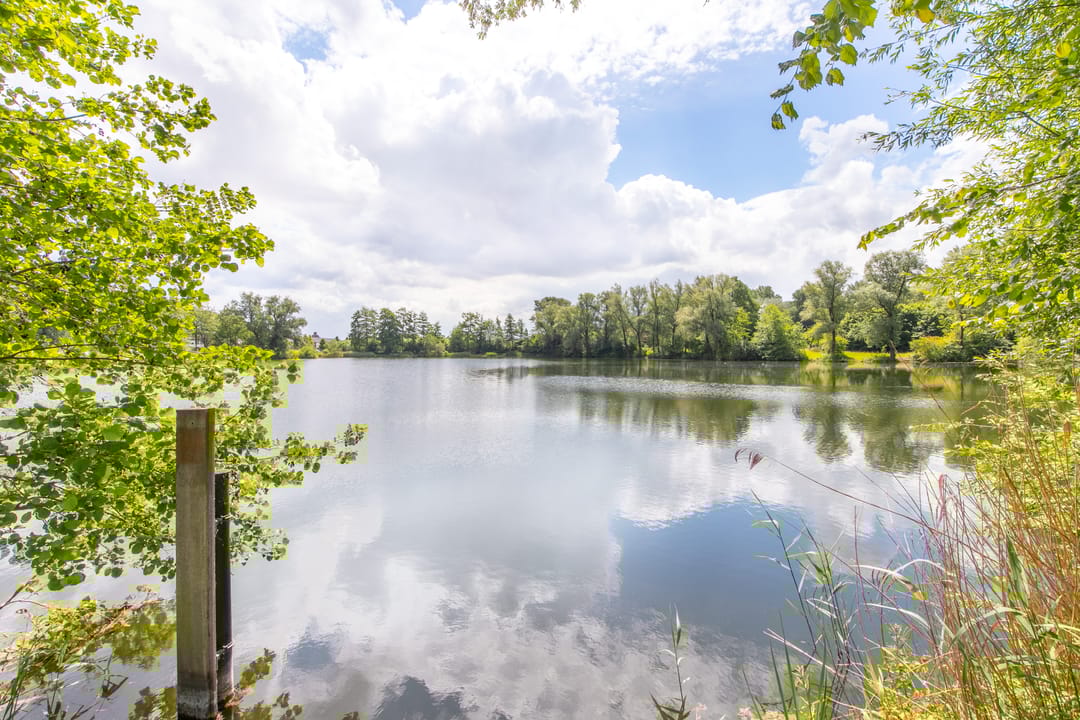 Foto 53 van Vijfmorgen 2-C