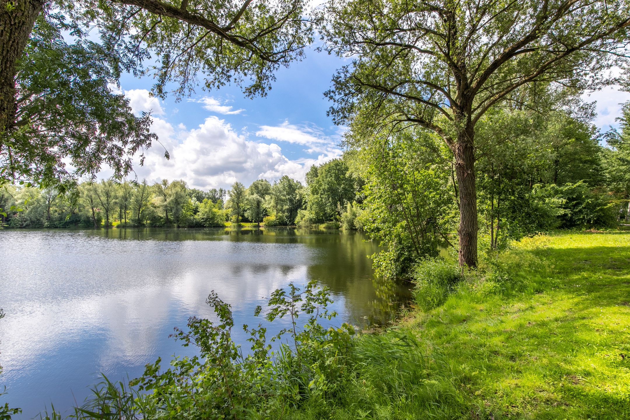 Foto 54 van Vijfmorgen 2-C