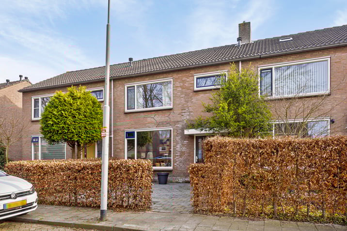 undefined main image