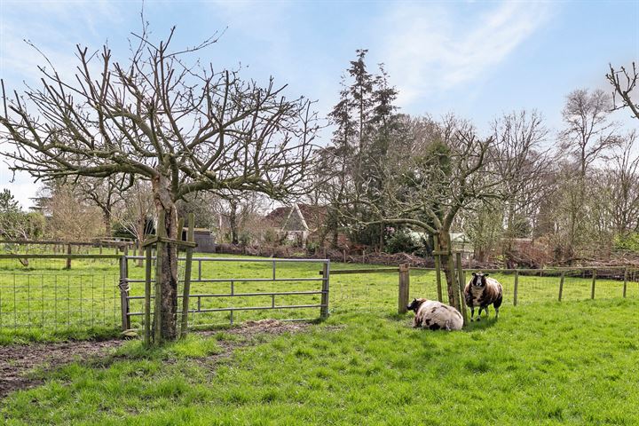 Bekijk foto 55 van Vledderweg 40