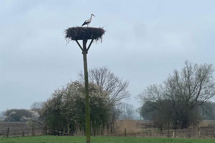 Bekijk foto 27 van Ganzenhof 4