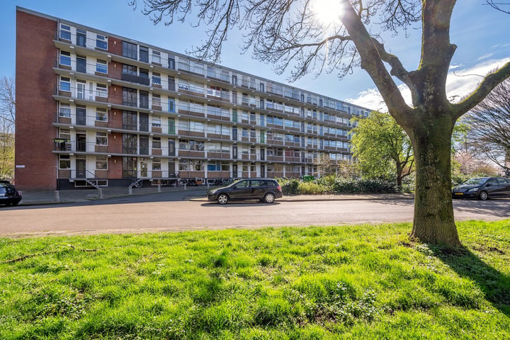 Bekijk foto 1 van Rijnbeekstraat 232