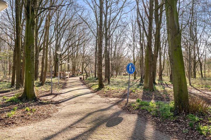 Bekijk foto 24 van Loosduinse Hoofdstraat 1146