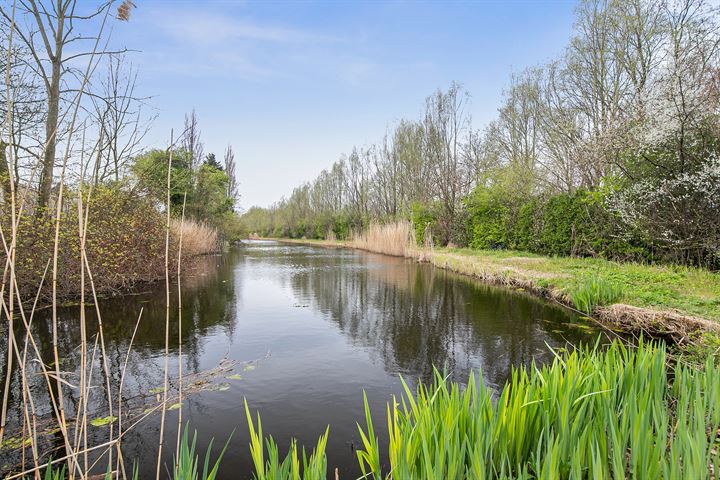 Bekijk foto 39 van Oudedijkse Schiekade 52